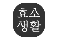 효소생활