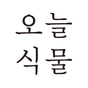 오늘식물